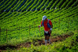 BIB: 9703
                            <button type="button" onclick="openModal(19160975)" class="btn btn-primary btn-sm float-right btn-popup" data-toggle="modal" data-target=".modal-high-quality">
                        <i class="fas fa-shopping-cart"></i> Add to Cart
                    </button>
                                            <button type="button" onclick="isThisMe(19160975, true)" class="btn btn-success btn-sm float-right btn-popup btn-isme hidden" data-toggle="tooltip" data-placement="bottom" title="นี่คือรูปของคุณใช่ไหม คลิกที่นี่เพื่อเอาเข้าอัลบั้ม">
                        <i class="fas fa-plus"></i> Add to album
                    </button>
                    <button type="button" onclick="isThisMe(19160975, false)" class="btn btn-warning btn-sm float-right btn-popup btn-isnotme hidden">
                        <i class="fas fa-ban"></i> Remove from album
                    </button>